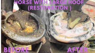 Shire Horse Complete restoration Shire Horse Restoration Compilation shirehorse huge massivehoof [upl. by Cardew]