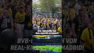 Die BVBFans stimmen sich in Madrid schon ordentlich ein 🔥 shorts [upl. by Devora]