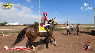 Fresno Hipódromo  LA MARIA MERCEDES VS LA TARAHUMARA  23 DE JUNIO 2024 [upl. by Ecneitap]