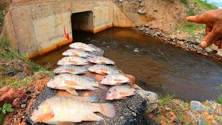 Descobri porque tem bastante tilápias neste lugar muita agua nova descendo para o rio Pescaria [upl. by Anitra]