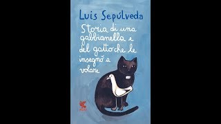 Storia di una Gabbianella e del Gatto che le insegnò a volare Audiolibro completo PARTE PRIMA [upl. by Ainud]