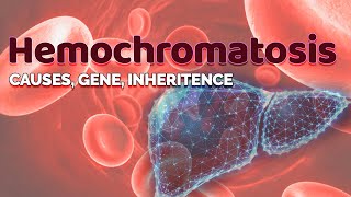 Hemochromatosis  Cause Gene amp Inheritance  HFE gene  Iron storage in Liver  Transferrin [upl. by Freeland]