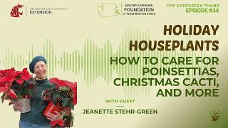 Holiday Houseplants How to Care for Poinsettias Christmas Cacti and More with Jeanette [upl. by Ainegue]