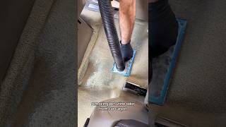 Pet smell removal and cleaned from carpet car [upl. by Floridia184]