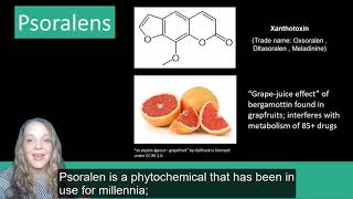 Plant Secondary Metabolites Phenolics [upl. by Gorga]