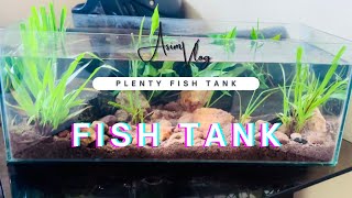 Simple plenty fish tank set up 🫶🏻  Fish tank  fish fishtank vlog asimsabkhan [upl. by Orthman]