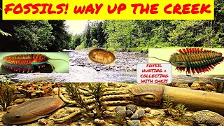 Fossils Way Up the Creek Fossil Hunting and Collecting with Chris Trilobites Cephalopods [upl. by Marybelle]