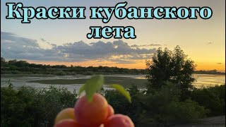 516❤️Объявили траве бой Заправка солянка с грибами для супа в описании под роликом [upl. by Jess]