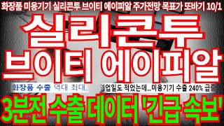 실리콘투 브이티 에이피알 단독 3분전 수출 데이터 긴급 속보 화장품 미용기기 수출 난리났다 실리콘투주가전망 에이피알주가전망 브이티주가전망 목표가 디에스경제뉴스 또바기 [upl. by Haggerty]