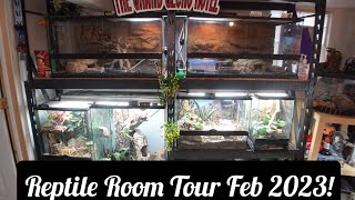 Reptile Room Tour February 2023 Rare and Uncommon Lizards [upl. by Nylannej]