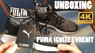 Puma IGNITE EVOKNIT  Running Shoes  Unboxing 4k [upl. by Asiuqram]