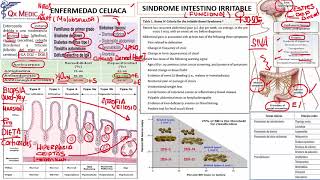 6 ENFERMEDAD CELIACA Y SINDROME I IRRITABLE [upl. by Htinek]