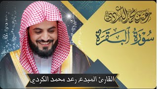 سورة البقرة كاملة بصوت القارئ رعد محمد الكردي  Full Surah AlBaqara by Raad Alkurdi [upl. by Melone592]