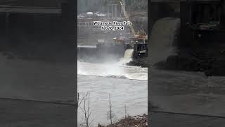 Willamette River Falls Feb 18 2024 [upl. by Mareld]