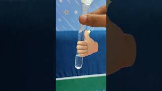 Preparation of Zinc Sulphate Solution experiment chemistry trendingshorts [upl. by Uriia]