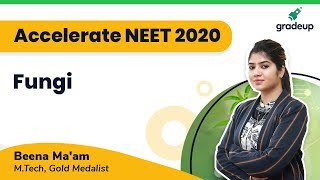 Accelerate NEET 2020  Fungi  Structures  Botany  Beena Maam  Gradeup NEET [upl. by Frere]