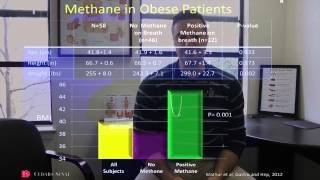 SIBO Treatment for Weight Loss [upl. by O'Mahony]