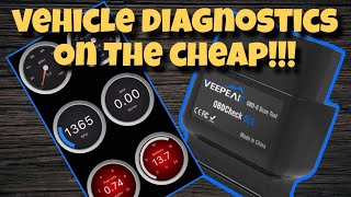 The Veepeak OBD2 BLE Bluetooth Diagnostic Scan Tool From Amazon Is Great [upl. by Deehan176]