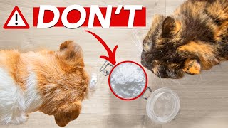 DIATOMACEOUS EARTH For Fleas And Ticks Control » a hidden DANGER [upl. by Camilia748]