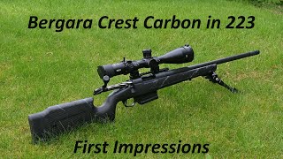 Bergara Crest Carbon in 223 First impressions of this surprisingly light and low cost rifle [upl. by Cally]