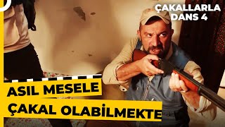 Naber Birader İyi Geldi Bir Daha Ver  Çakallarla Dans 4 [upl. by Oriaj]