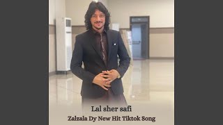 Zalzala Dy New Hit Tiktok Song [upl. by Ahso]