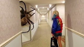 This is The Biggest Spider in The World Caught on Camera [upl. by Anayek]