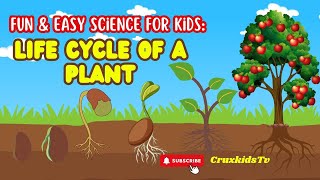 Life Cycle of A Plant Fun and Easy Science for Kids [upl. by Janelle]