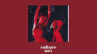 Fred Again  Ten Days culture aux remix [upl. by Aleik]