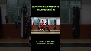 quotStreet selfdefense and wrestling techniquesquot（14）quotQuick moves cool stance [upl. by Ashti]