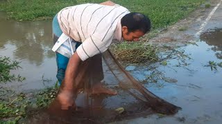 চট্টগ্রামের মধ্যম মোহরায় এখন আর মেলেনা দেশীয় প্রজাতির মাছ। বৈশাখী নিউজ২৪নেট [upl. by Cyn449]