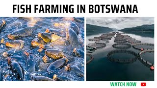 Fish Farming in BotswanaFisheries and Aquaculture [upl. by Sachs]