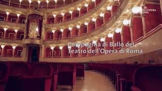 Compagnia di Ballo del Teatro dellOpera di Roma [upl. by Sikko767]