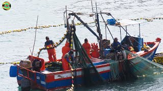 ASÍ PESCAN los PESCADORES DESDE EL BARCO DE PESCA  pesca con Red en el Mar [upl. by Assenab363]