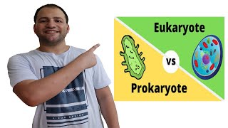 Prokaryotes and Eukaryotes comparison [upl. by Gallenz179]