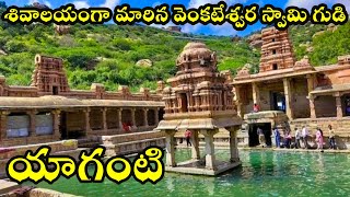 యాగంటి ఆలయ విశేషాలు  Yaganti temple full history [upl. by Ardeed749]