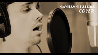 Gavilan o Paloma  José José  Cover x Elioveliz [upl. by Eirac]