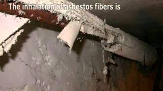 Asbestos Removal [upl. by Rosenblast]