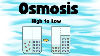 What is Osmosis [upl. by Tayib]