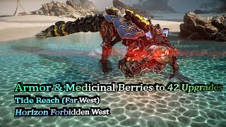 Medicinal Berries Pouch Upgrade Horizon Forbidden West [upl. by Gnirps]