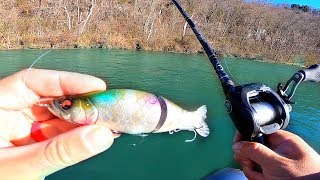 New Swimbait gets DESTROYED by Trout in River [upl. by Rigdon]