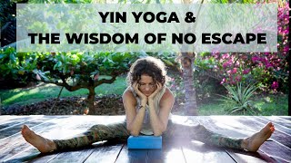 Yin Yoga amp The Wisdom Of No Escape [upl. by Stutman467]