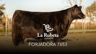 FORJADORA 7653 [upl. by Rennie]