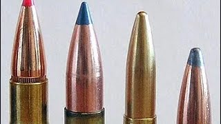 Top 5 European hunting cartridges  that should be popular worldwide [upl. by Eniotna637]