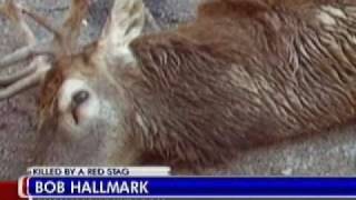 East Texas man killed by pet deer [upl. by Koa]