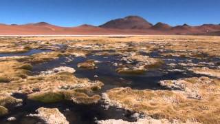 Volcan Licancabur Salar Pujsa Chile [upl. by Eelano431]