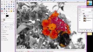 Gimp Tutorial deutsch Colorkey [upl. by Anigar]