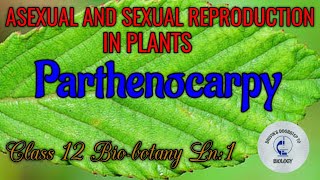 Parthenocarpy in tamil  Asexual and Sexual reproduction in plants [upl. by Aissirac725]