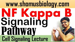 NF kappa B signaling pathway  Short tricks to learn cell signaling pathway [upl. by Latsyc271]