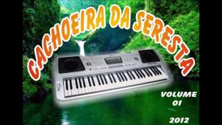 som Automotivo  Cachoeira da seresta ao vivo cd completo [upl. by Aicrag]